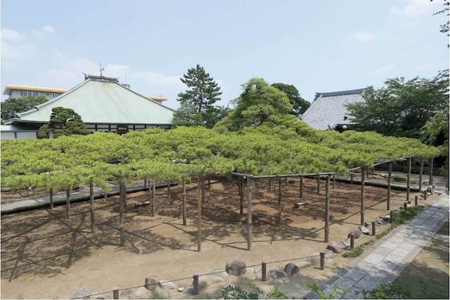 真言宗豊山派 星住山善養寺
                      
